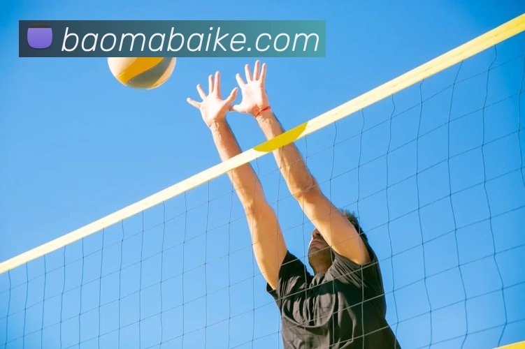 中欧官网发展历程
